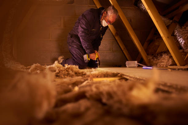 Best Types of Insulation in Vincent, CA