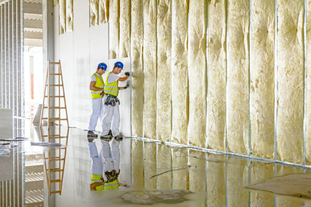 Best Insulation Maintenance and Repair in Vincent, CA